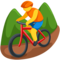 Person Mountain Biking emoji on Messenger